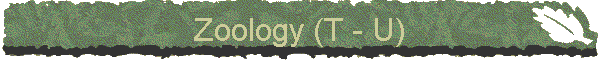 Zoology (T - U)
