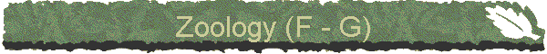 Zoology (F - G)