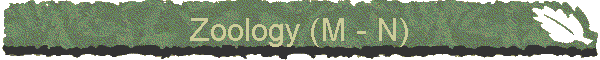 Zoology (M - N)