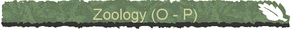 Zoology (O - P)